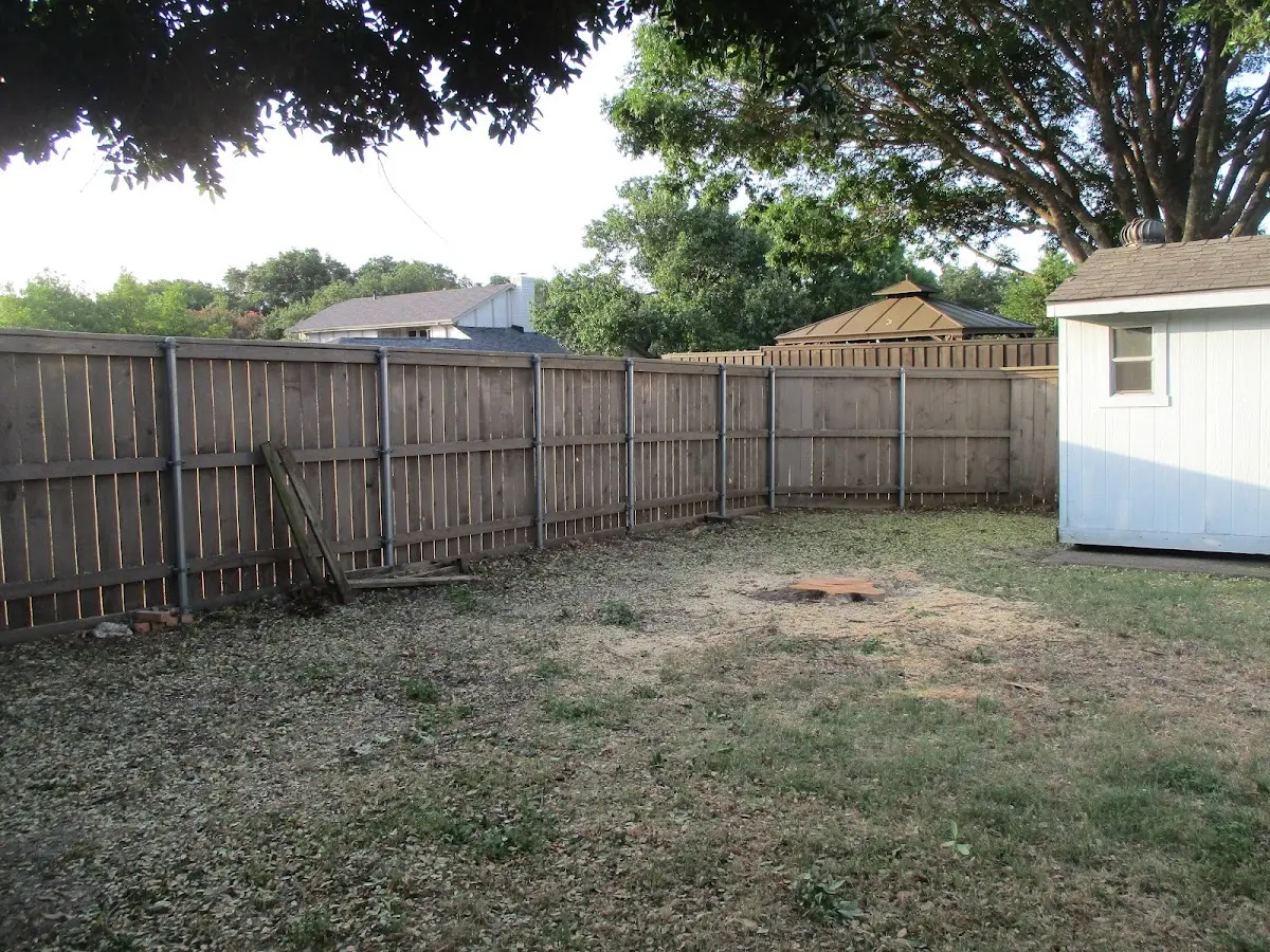 Cleared yard after professional tree removal in Southview