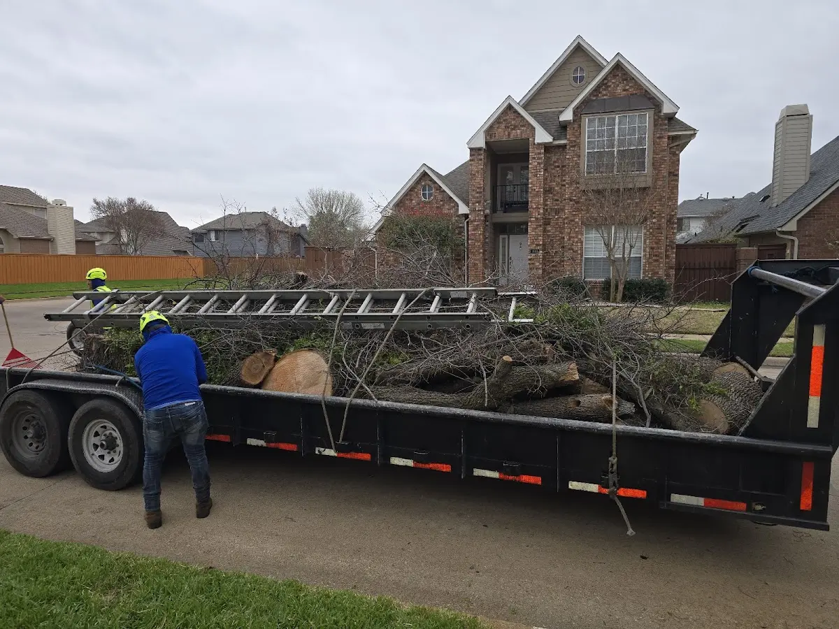 Expert Lot Clearing with proper safety equipment in Southview
